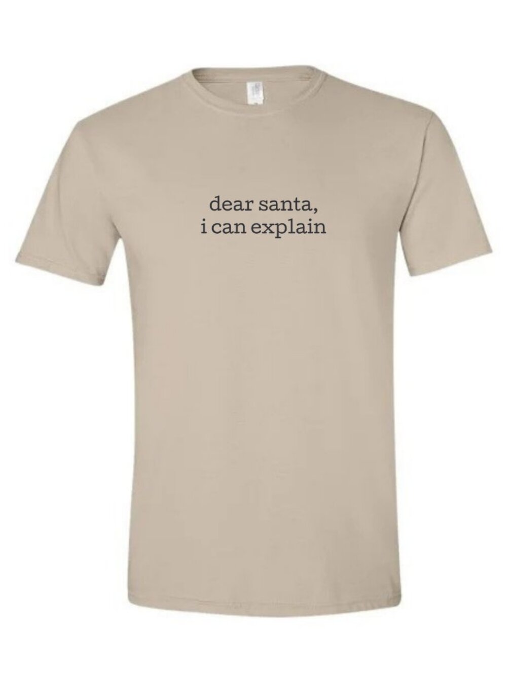 Dear Santa I Can Explain Christmas Shirt